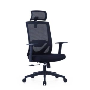 Ergonomic Chair CH01