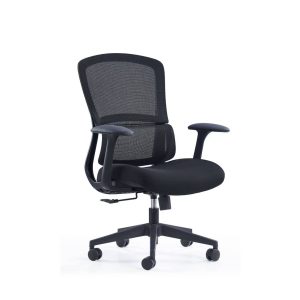Ergonomic Chair Singapore CH02